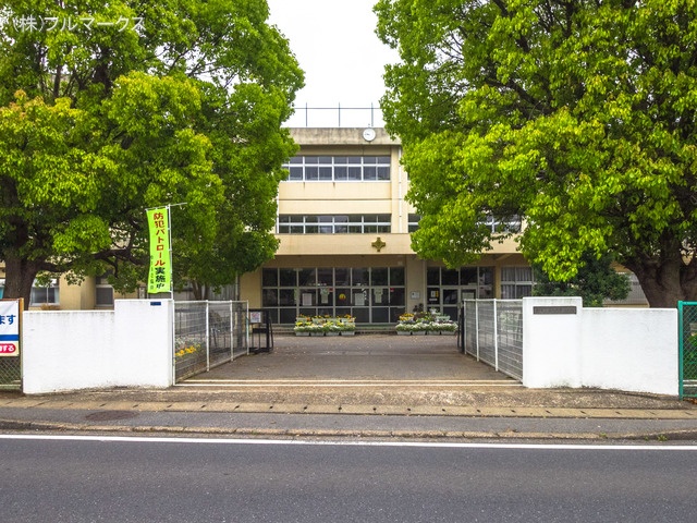 柏市立酒井根東小学校 距離300m