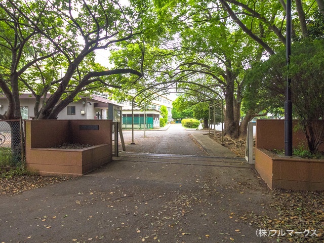 柏市立藤心小学校 距離1400m