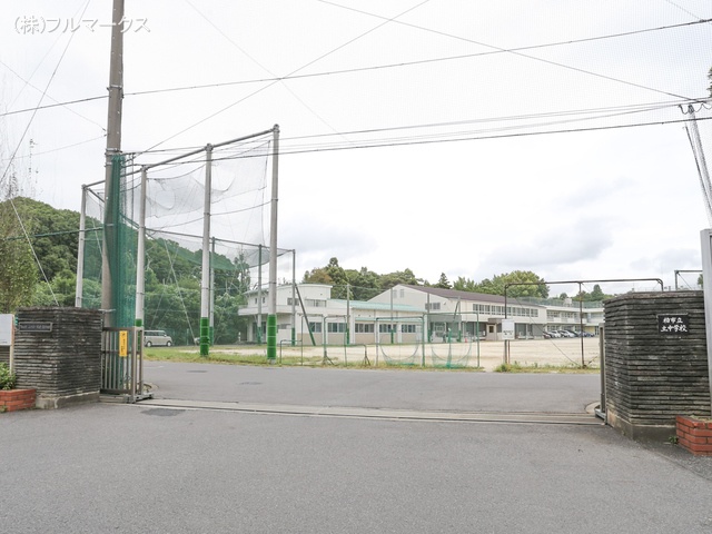 柏市立土中学校 距離1100m