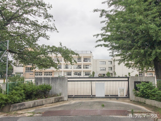 松戸市立北部小学校 距離990m